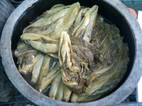 20100215Farm Visit58.jpg